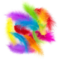 Piórka INDYCZE 10-15 CM, 30 SZT. BRIGHTS Dp Craft