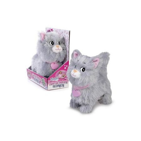 Natalia Szary Kotek Chodzący na smyczy