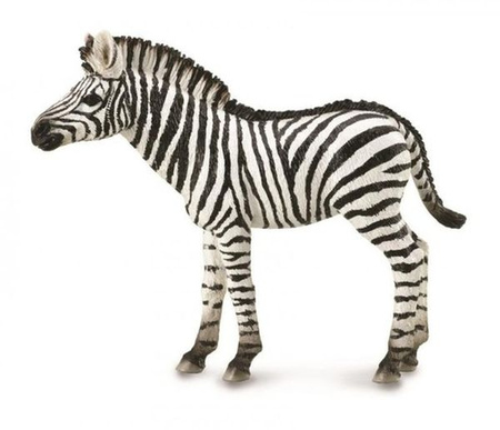 Młoda Zebra Figurka Collecta