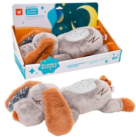 PROJEKTOR MUZYCZNY PIESEK