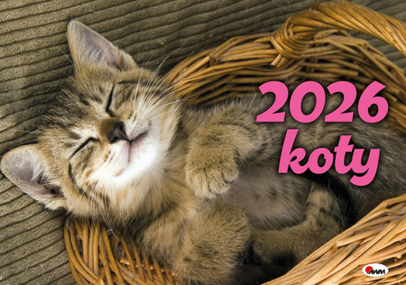 Kalendarz 2026 albumowy  KOTY KA 2 9788381815390