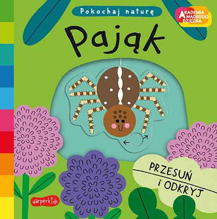 PAJĄK POKOCHAJ NATURĘ