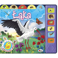 Książeczka Odkrywam Dźwięki Łąka AWM