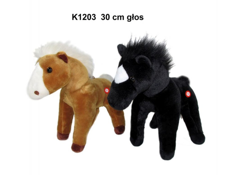 KON 2 KOL. 30 CM GLOS*   160232