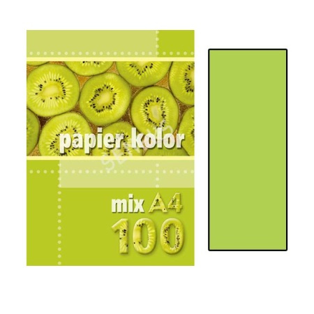 PAPIER A4 100 J.ZIELONY