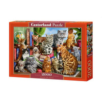 Castorland Puzzle 2000 el. C-200726 HOUSE OF CAT