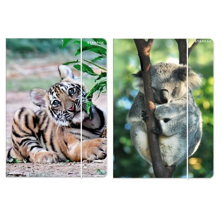 Starpak Teczka z gumką A4 Wild Animals