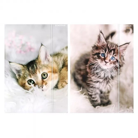 Starpak Teczka z gumką A4 Cuties