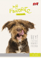 Notatnik A6 50 kratka mix wzorów Unipap