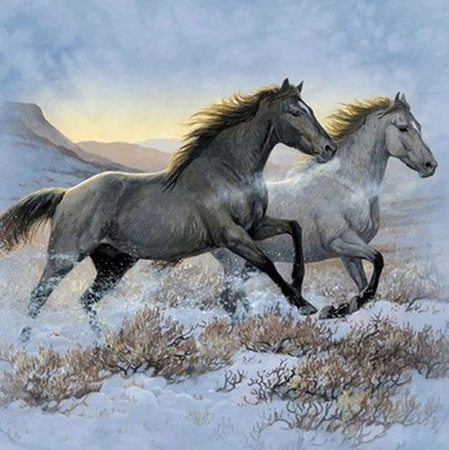 DIAMENTOWA MOZAIKA KONIE CZARNY I BIAŁY GALOPUJĄCE PRZEZ STEP 30x40cm