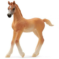 SCHLEICH FIGURKA HORSE CLUB ŹREBAK CZYSTEJ KRWI ARABSKIEJ