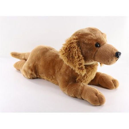 Pies Golden 60 cm leżący