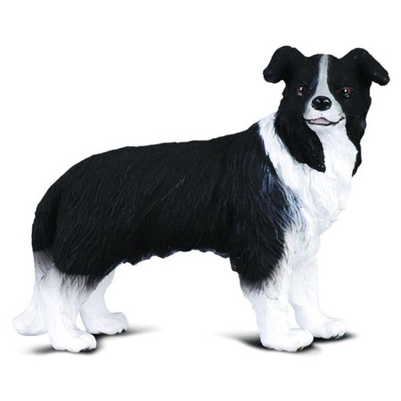 Pies Border Collie Collecta