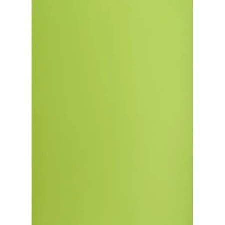 Karton B2 OXF 225g Jasnozielony