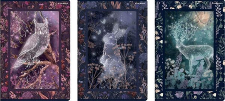 ZESZYT A4 60K 70G FAIRYTALE kratka