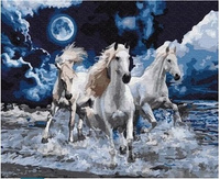 DIAMENTOWA MOZAIKA KONIE 3 BIAŁE GALOP W MORZU NOCĄ PAK 60   30X40 CM