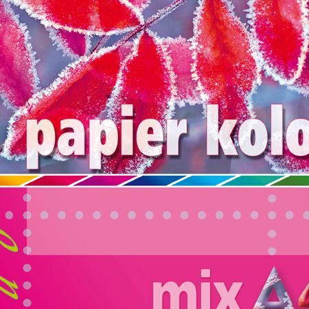 PAPIER A4-250 MIX FLUO