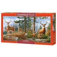 Castorland Puzzle 4000 el. Royal Deer Family- Królewska Rodzina Jeleni