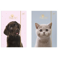 Teczka A4 z Gumką Pupils Interdruk