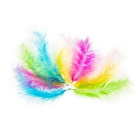 PIÓRKA INDYCZE 10-15 PASTEL MIX