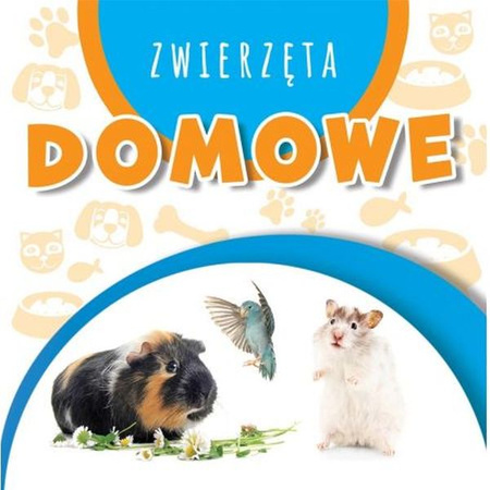 WSTĘGI KOLOROWE ZWIERZĘTA DOMOWE