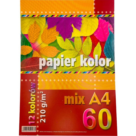 Papier kolor mix A4-60 210g 12 kolor