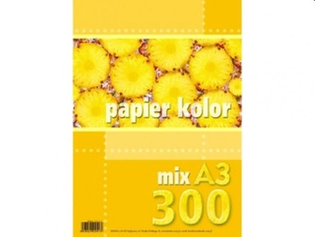 PAPIER A3-300 MIX KOLOR