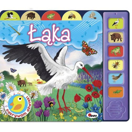 Książeczka Odkrywam Dźwięki Łąka AWM