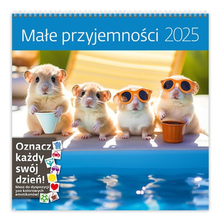 KALENDARZ 30/30 MAŁE PRZYJEMNOŚCI