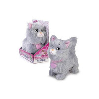 Natalia Szary Kotek Chodzący na smyczy