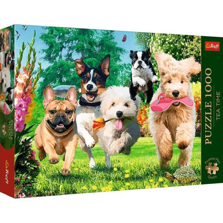 PUZZLE 1000 PREMIUM PLUS NADCHODZĄCE KŁOPOTY