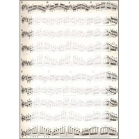 Dyplom Nuty 170g 25szt