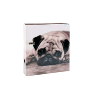 SEGREGATOR A4 7CM PSY