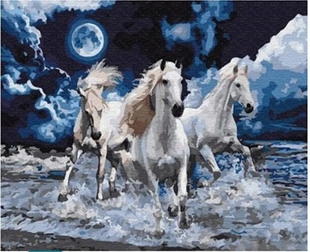 DIAMENTOWA MOZAIKA KONIE 3 BIAŁE GALOP W MORZU NOCĄ PAK 60   30X40 CM