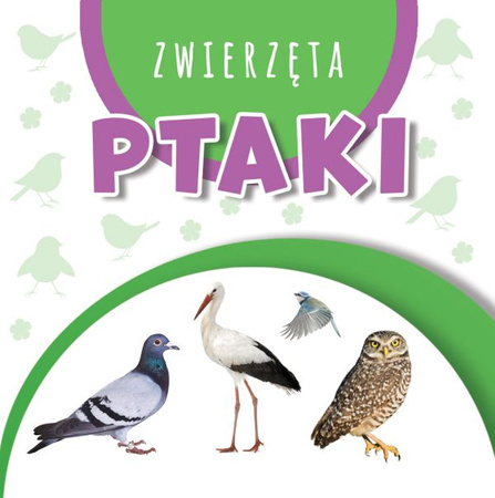 WSTĘGI KARTONOWE PTAKI