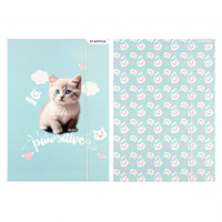 Teczka z gumką A4 Kitty STARPAK 553545