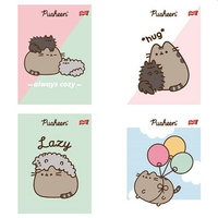 Zeszyt A5 32k linia podwójna dwukolorowa laminowany PUSHEEN