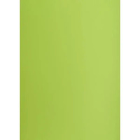 Karton B2 OXF 225g Jasnozielony