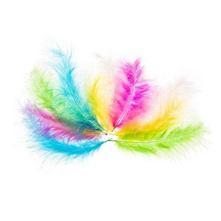 PIÓRKA INDYCZE 10-15 PASTEL MIX