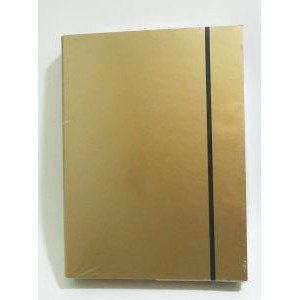 TECZKA  A4 LUX NA GUMKĘ ZŁOTA