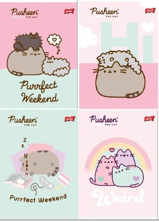 Zeszyt A5 32k linia podwójna dwukolorowa laminowany PUSHEEN