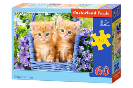 Castorland Puzzle  60 el. Ginger Kittens