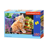 Castorland Puzzle 180 el.  B-018178 Ginger Kitten