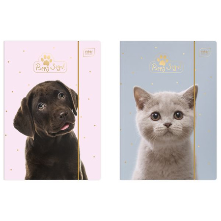 Teczka A4 z Gumką Pupils Interdruk