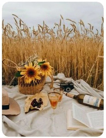 DIAMENTOWA MOZAIKA PIKNIK W ZBOŻU 30X40cm