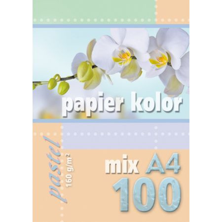 PAPIER A4-100 160G PASTEL