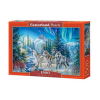 Castorland Puzzle 1500 el. Moonrise call