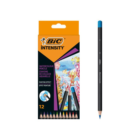 INTENSITY WATERCOLOR BX12