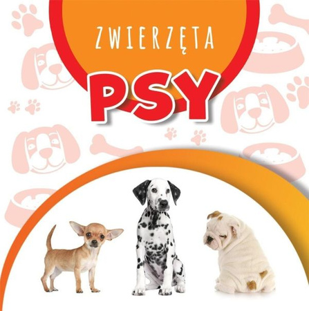 WSTĘGI KOLOROWE PSY