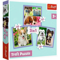 Puzzle 3W1 UROCZE PIESKI Trefl